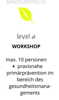 3 level stressmanagement - workshop