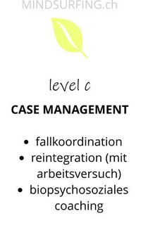 drei level stressmanagement - case management